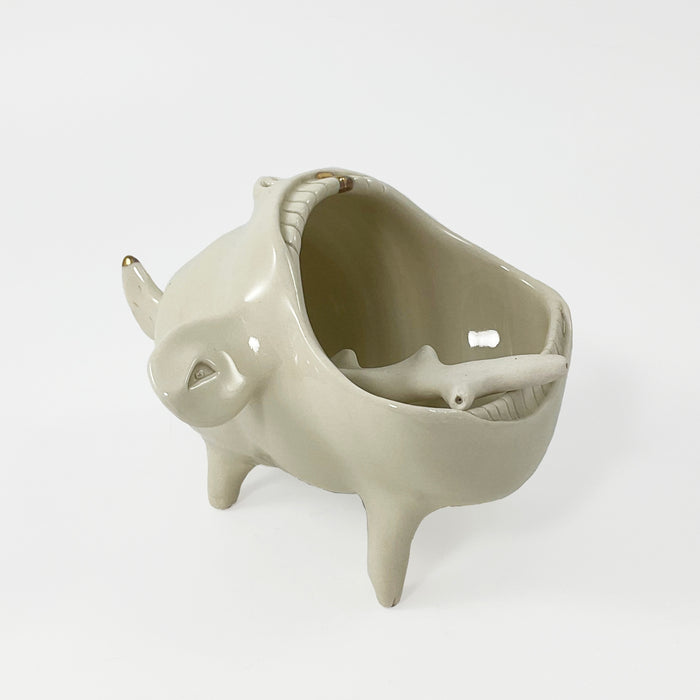 Porcelain Salt Pig Container and Spoon
