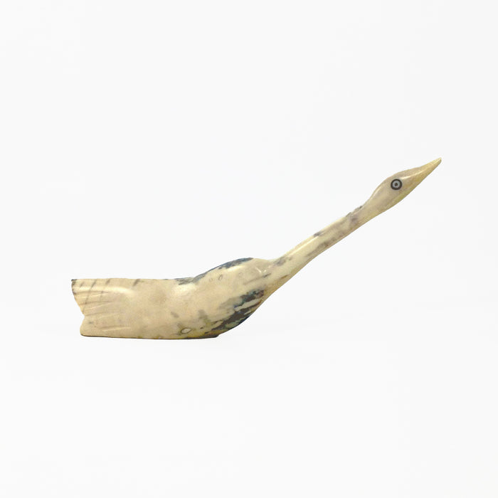 Ivory Bird