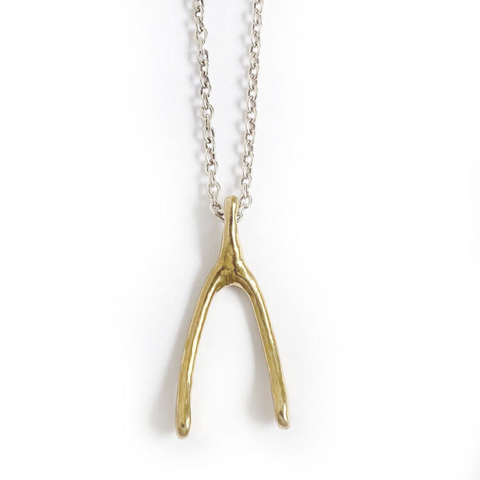 Necklace with Wishbone