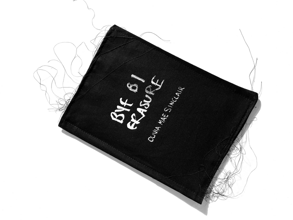 BYE BI ERASURE - Soft Book